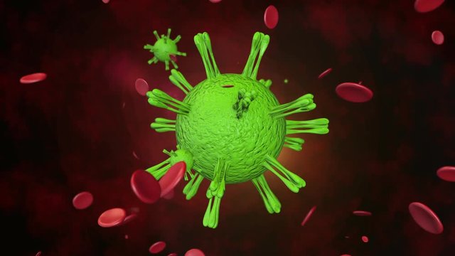 Virus bacteria infect healthy cells