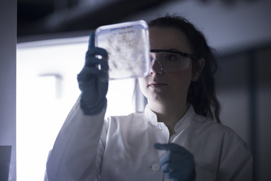 Frau,pr&uuml;fen,Naturwissenschaftlerin,Forschung,arbeiten,Kompetenz,Test