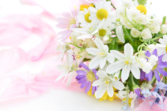 Fototapeta bouquet of garden flowers in pastel color 