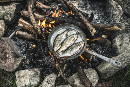 Fisch,Zweig,kochen,zubereiten,Natur,Lagerfeuer,Niemand