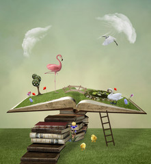 Fototapeta premium Books pathway to the open book