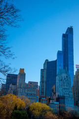 Fototapeta premium Springtime in Central Park