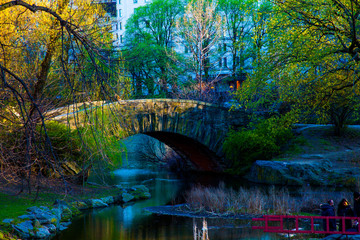 Fototapeta premium Springtime in Central Park