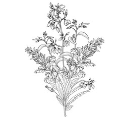 Floral background Flower bouquet vintage cover Flourish card wth flowers