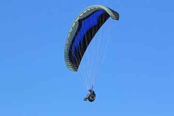 Paraglider