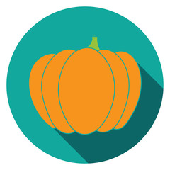 Flat pumpkin icon colorful.