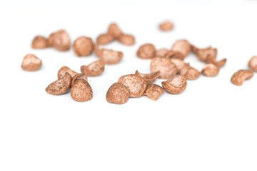 Chocolate breakfast cereal