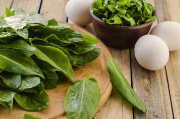 fresh leaves of sorrel