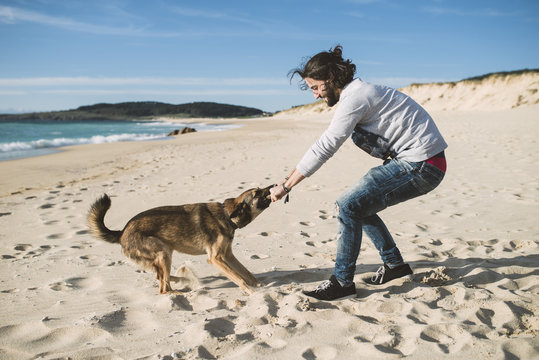 Man playing with his dog on beach