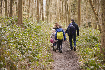 Fototapeta na wymiar Family walking through a wood, back view, mum turning round