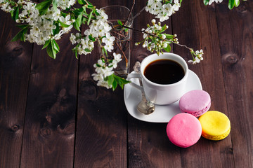 cup of coffee and blooming twig of cherry tree