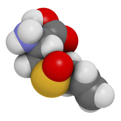 Alliin garlic molecule. 3D rendering.  
