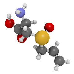 Alliin garlic molecule. 3D rendering.  