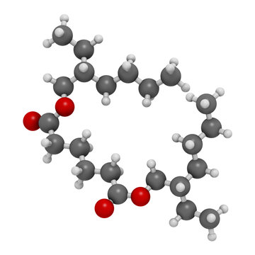 Bis(2-ethylhexyl) Adipate (DEHA, Diisooctyl Adipate) Plasticizer Molecule