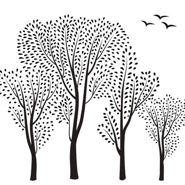 Forest background Trees with leaves and birds wildlife vector illustration. Nature pattern