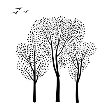 Forest background Trees and birds wildlife vector illustration. Nature pattern