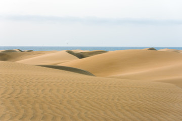 Desert with sand dunes in Gran Canaria, Spain