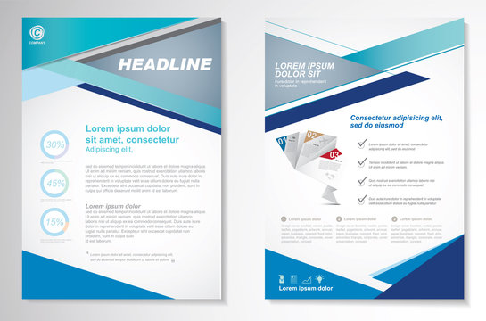 Vector Brochure Flyer design Layout template, size A4, Front page and back page, infographics. Easy to use and edit.