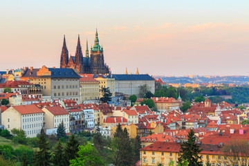 View of Prague castle. View from the green gardens of Prague Castle
