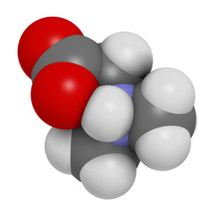 Dimethylglycine (DMG) molecule. 3D rendering.  