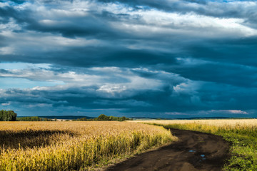 Road through the wheat field on a background beautiful sky