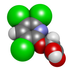 Triclopyr herbicide (broadleaf weed killer) molecule.