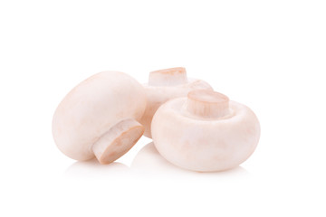 Champignon Isolated on White Background