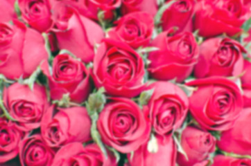 Blurred red rose flower bouquet vintage background