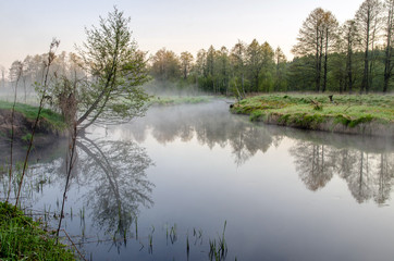 Fototapeta na wymiar landscape with morning dew and mist at dawn