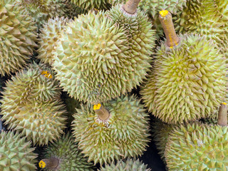 Naklejka na ściany i meble durian, 
