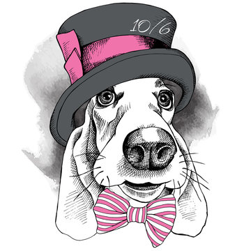 The image with the portrait of a dog in the Hatter hat and with bow. Vector illustration.