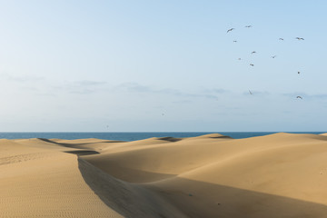 Desert with sand dunes in Gran Canaria, Spain