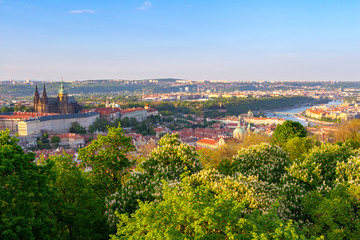 Obraz premium The aerial view of Prague City from Petrin Hill, Czech Republic