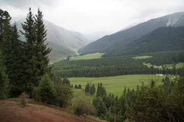 Fototapeta na wymiar Kyrgyzstan gorge Jety-Oguz