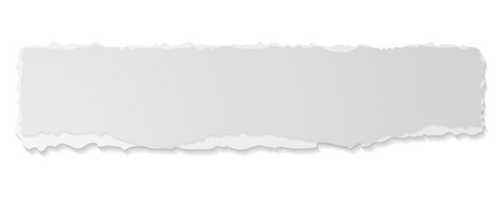Grey ripped paper edge vector banner