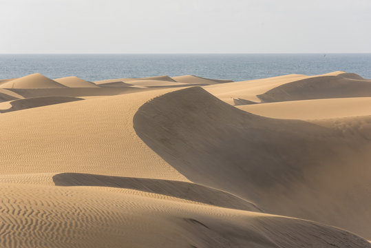 Desert with sand dunes in Gran Canaria, Spain