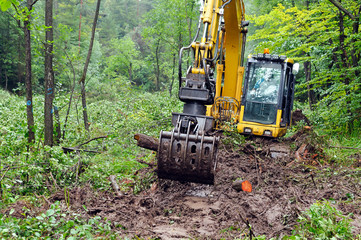 Deforestation of forest. Excavator used to dig up tree-stumps and roots after the forest was removed. 