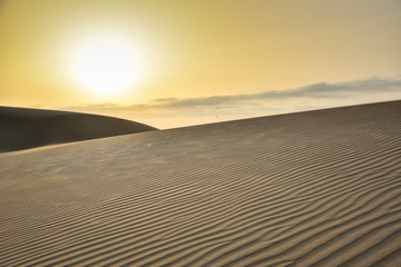 Fototapeta na wymiar Sunrise in desert with sand dunes in Gran Canaria, Spain