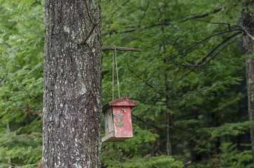 Bird House