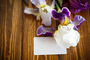 beautiful white with purple irises 