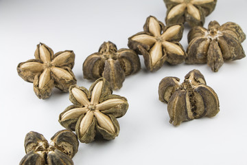 Dried sacha inchi