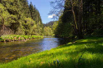 Fluss im Bayerischen Wald