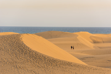 Fototapeta na wymiar Desert with sand dunes in Gran Canaria, Spain