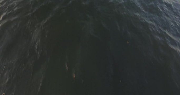 Luftaufnahme von der Ostsee