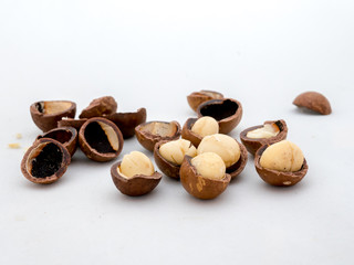 macadamia nuts fruits with shell on white background