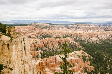 Hoodoos with pine trees at Bryce Canyon National Park in Utah.