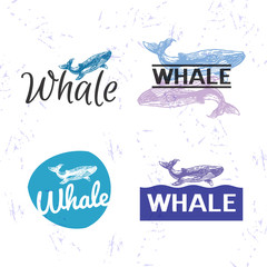 Vector colourful logo set with whale.