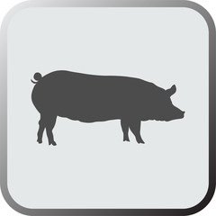 Graphical flat icon, button of pig. Vector.