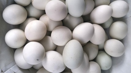  The white eggs in a market
