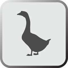 Fototapeta na wymiar Graphical flat icon, button of goose. Vector.